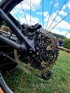 Specialized 2020 S-Works Turbo Levo SL