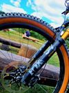 Specialized 2020 S-Works Turbo Levo SL