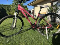 Kellys Phutura Raspberry
