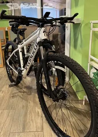 Specialized Rockhopper Expert 29"