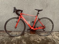 Canyon Endurace cf 7