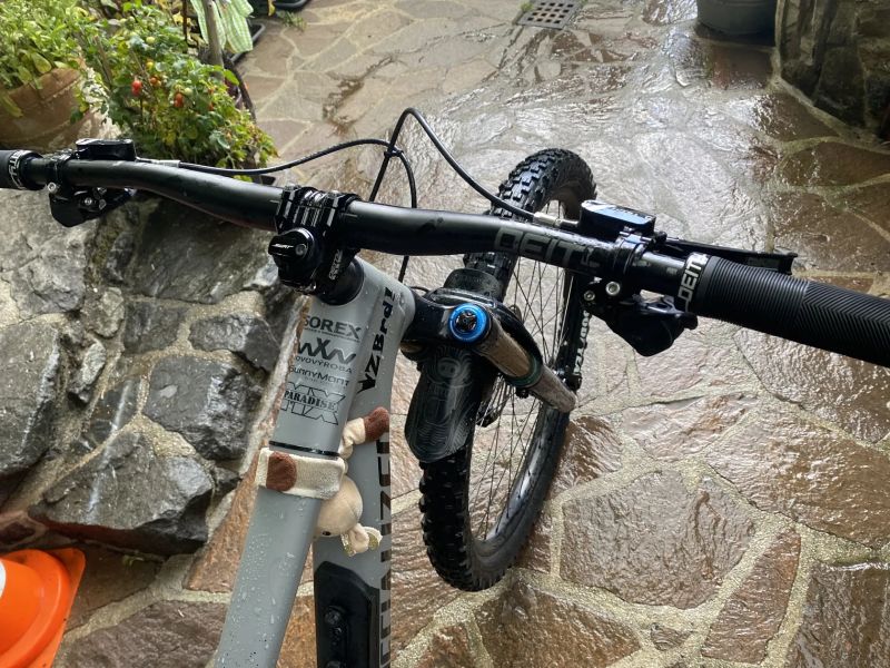 Specialized enduro comp