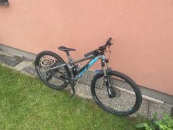 Prodám Felt Felt edikt 50P