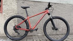 Specialized Rockhopper comp 29