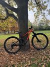 Marin Rift Zone 3 29