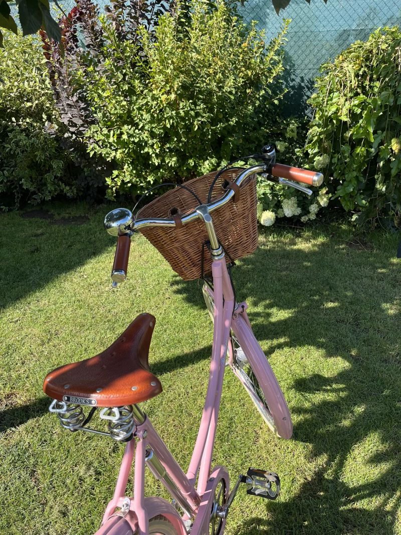Dámské městské kolo Pashley Britannia – Powder Pink