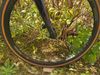 Trek Trek Domane SL6 eTap Gen 4 velikost 58-L
