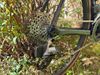 Trek Trek Domane SL6 eTap Gen 4 velikost 58-L