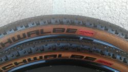 Schwalbe Thunder Burt 29x2,25 2Ks