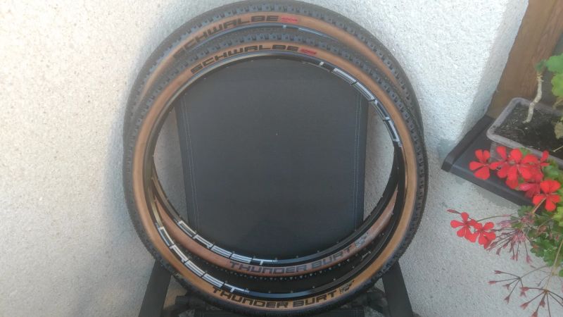 Schwalbe Thunder Burt 29x2,25 2Ks