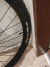 Fuji Pro carbon