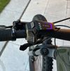 Cannondale Moterra Neo Carbon 2