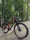 THRUST 29” Carbon 