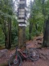 Specialized FSR Comp Carbon
