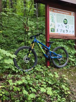 Pivot Cycles Firebird