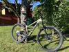 Trek Roscoe 9