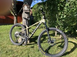 Trek Roscoe 9