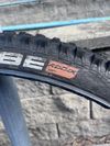 Schwalbe 