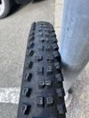 Schwalbe 