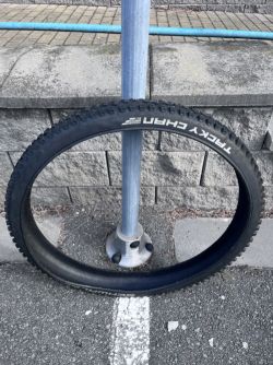 Schwalbe 