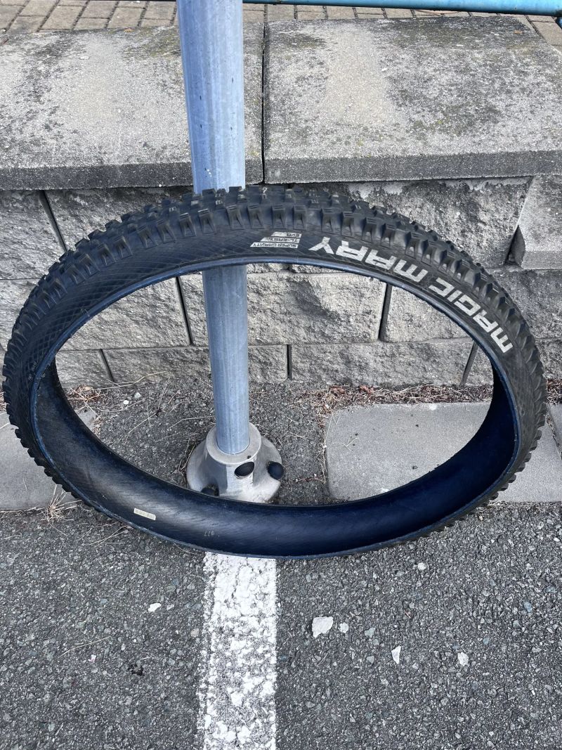 Schwalbe 