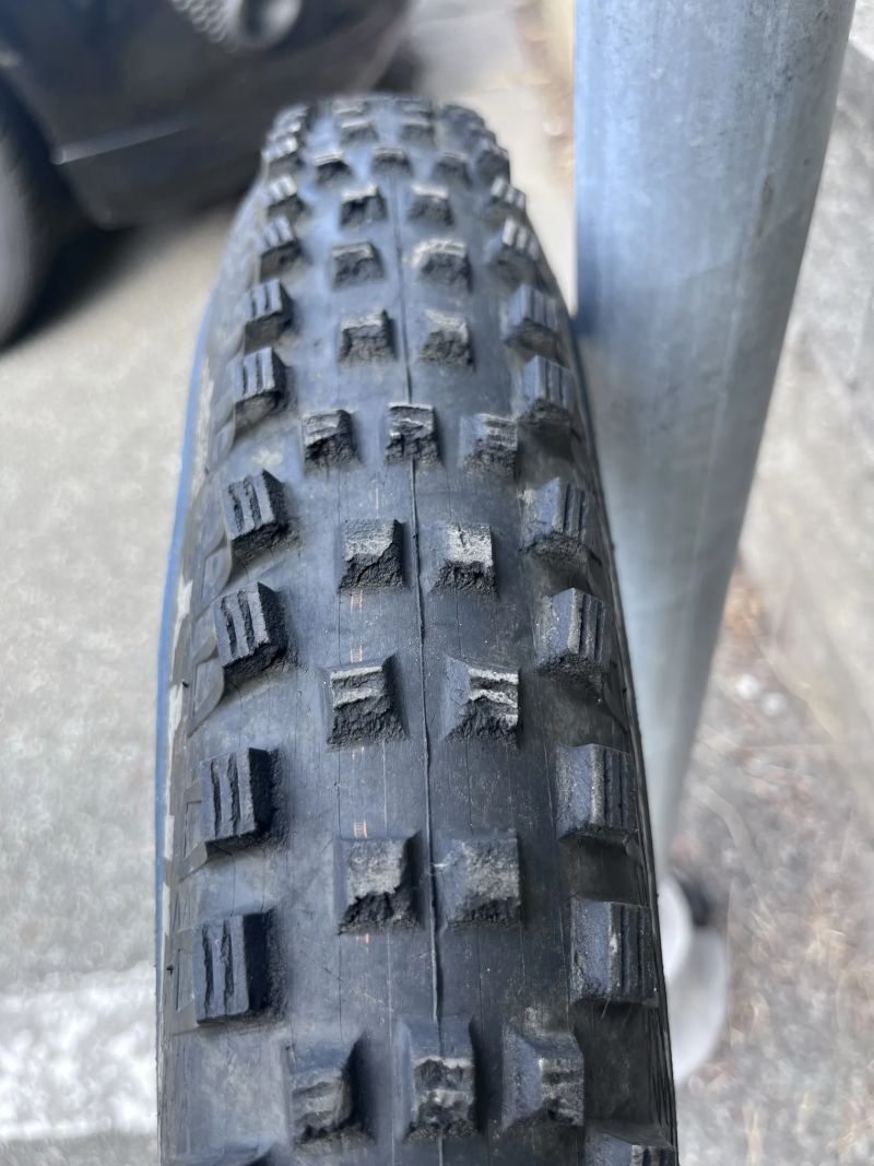 Schwalbe 