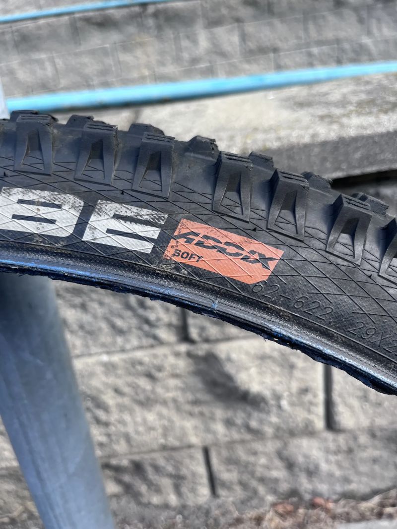 Schwalbe 