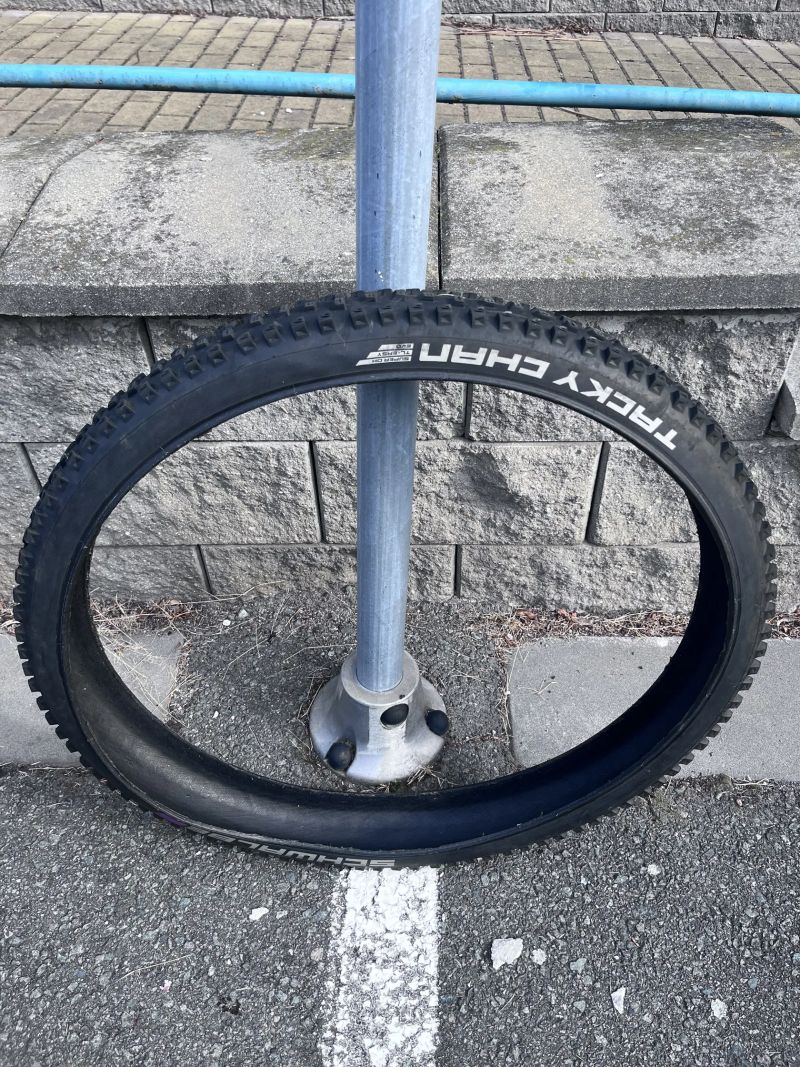 Schwalbe 