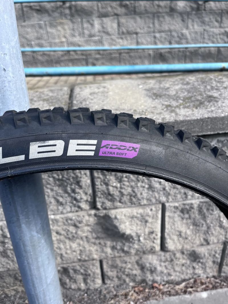 Schwalbe 