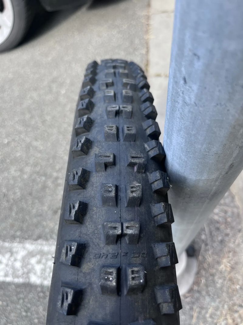 Schwalbe 