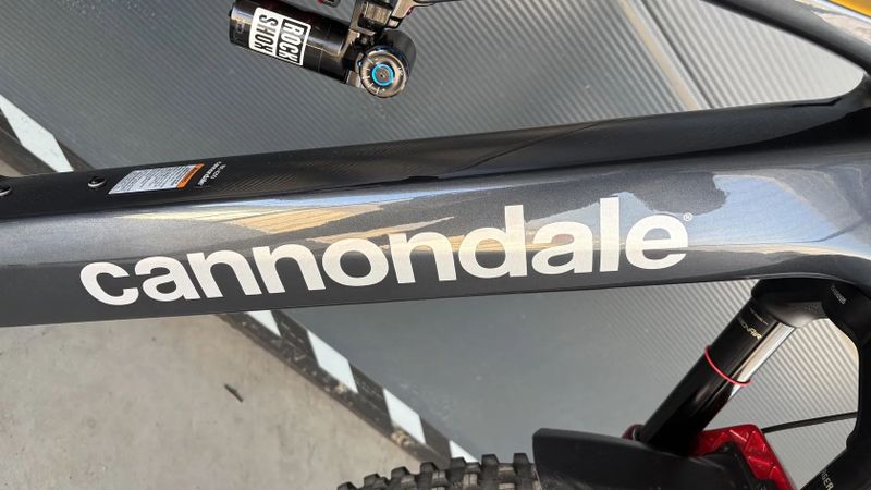 Cannondale Moterra SL Custom