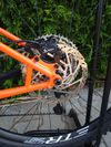 Orange P7 29er
