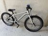 Early Rider 20”