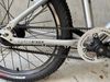 Early Rider 20”