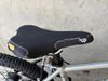 Early Rider 20”