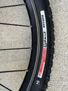 Early Rider 20”