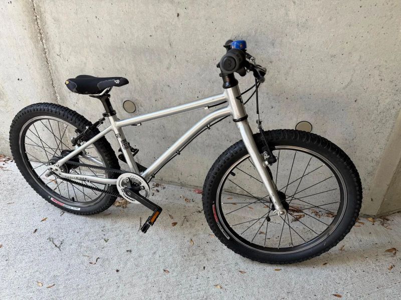 Early Rider 20”
