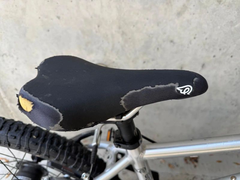 Early Rider 20”