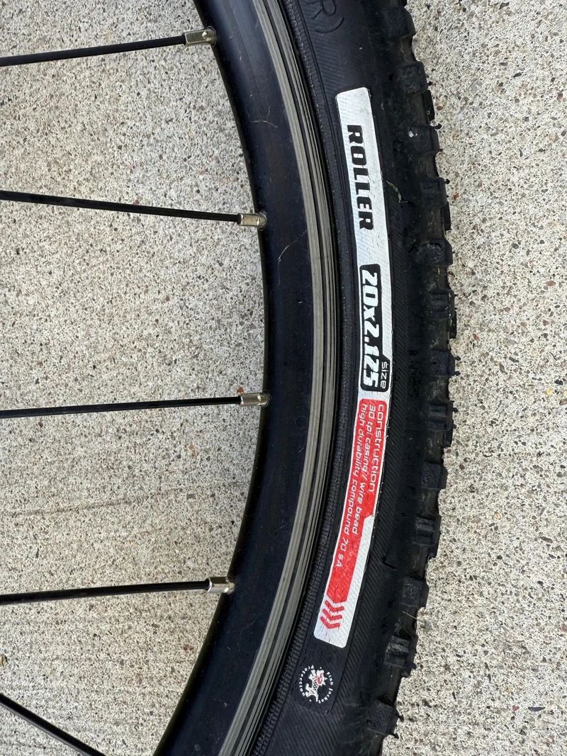 Early Rider 20”