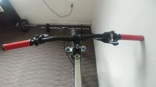 Trek Remedy 9.8