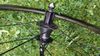 ZIPP 404 Firecrest TLR