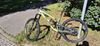 Canyon Spectral CF8