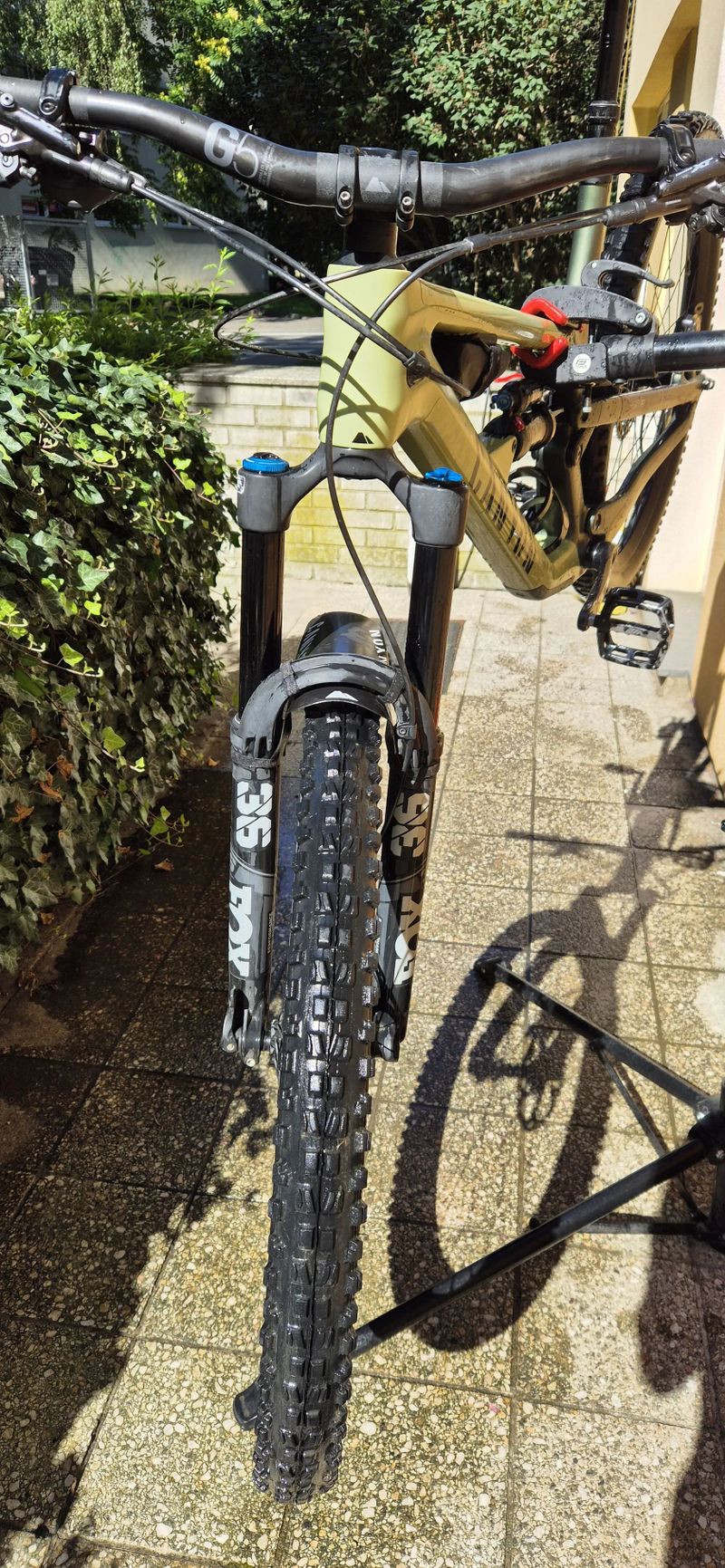 Canyon Spectral CF8