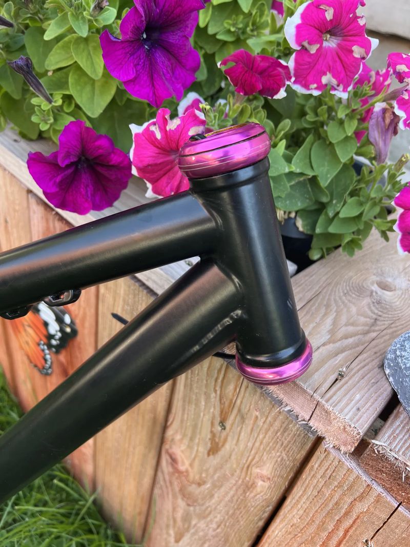 Dirt ram ns bikes chromoly 26 