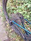 Trek Roscoe 7
