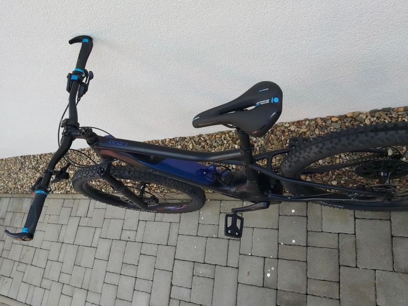 Specialized LEVO HT