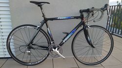Silniční kolo Prodoli, karbon, Ultegra, vel. 56