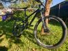 Cannondale Trigger