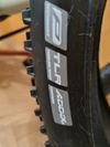 Schwalbe