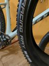 Schwalbe